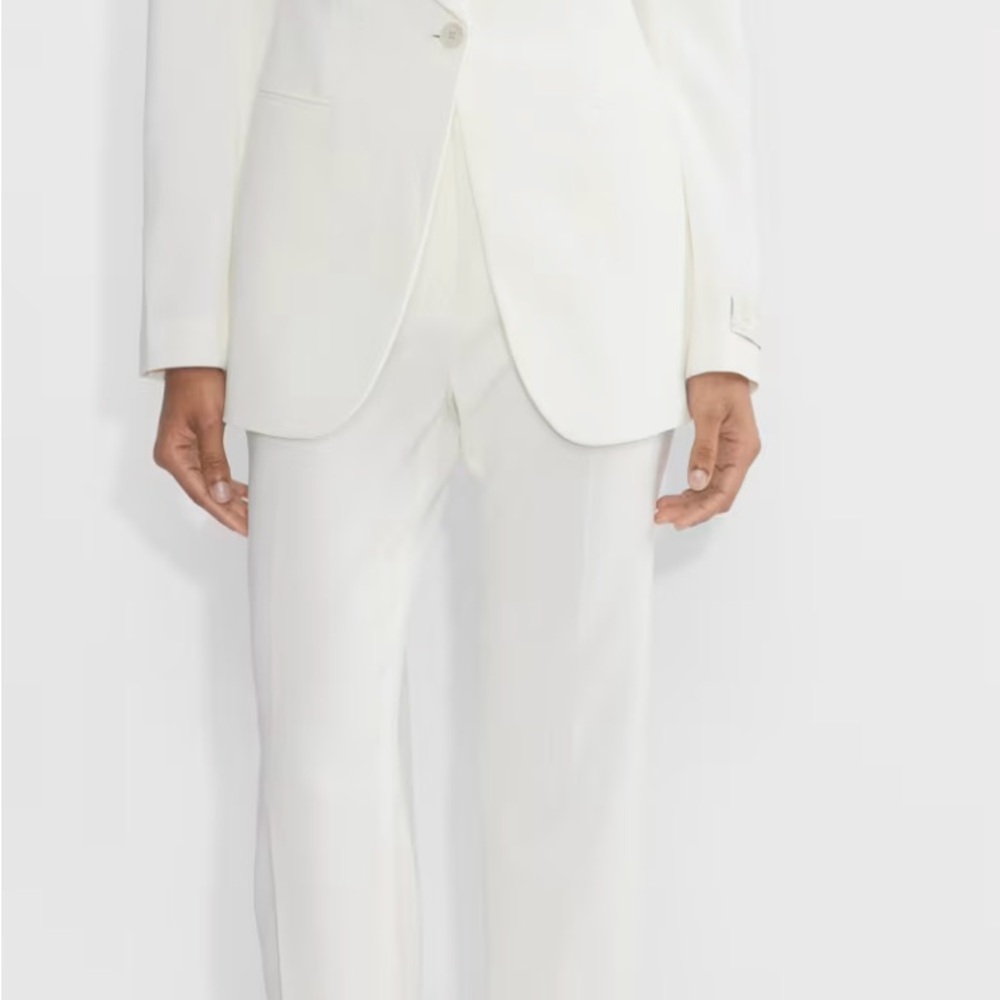 Aritzia Babaton Sartorial Pants (co-ord blazer optional)
